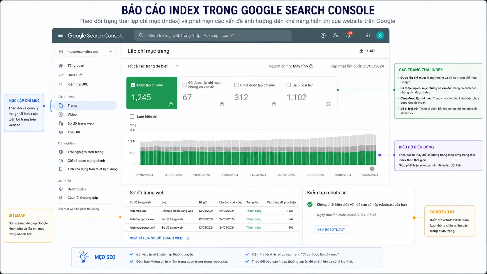 Mô phỏng báo cáo Index Coverage trong Search Console với chú thích sitemap, robots.txt và các trạng thái index của URL